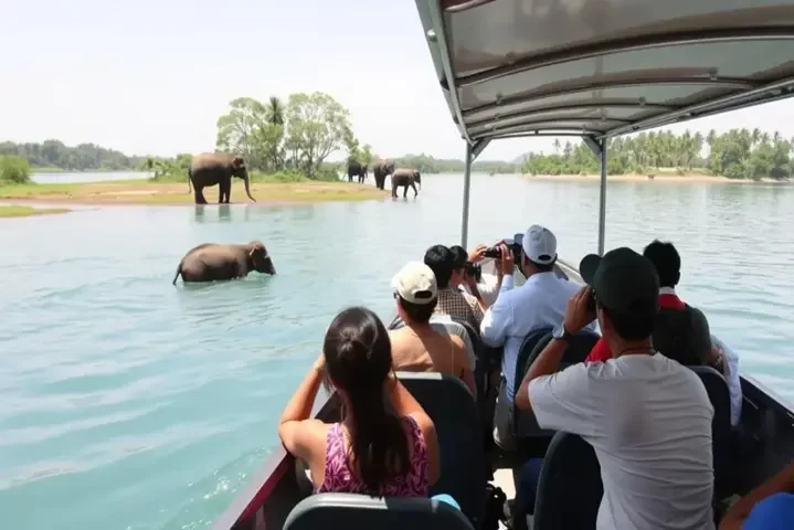 boat-safari-spotting-elephants-at-gal-oya-national-park